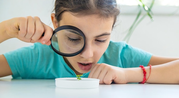 Een kind onderzoekt een plant onder een vergrootglas Selectieve focus