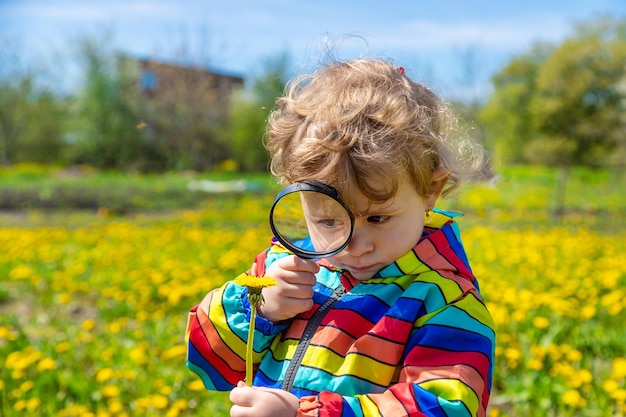 Een kind onderzoekt planten met een vergrootglas Selectieve focus