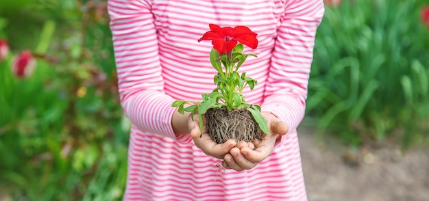 Een kind plant een bloementuin. Selectieve aandacht.