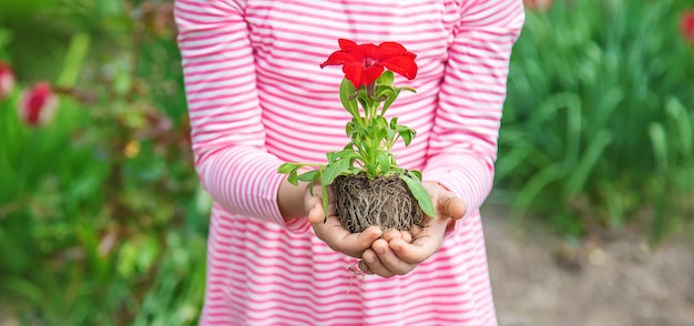 Een kind plant een bloementuin. selectieve aandacht.