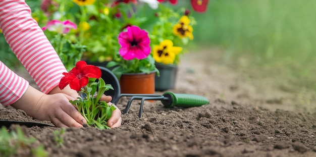 Een kind plant een bloementuin. Selectieve aandacht.