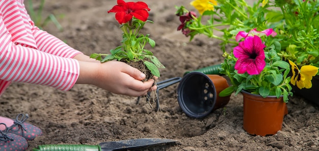 Een kind plant een bloementuin. Selectieve aandacht.