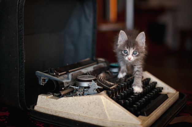 Een kitten lopen op een oude schrijfmachine