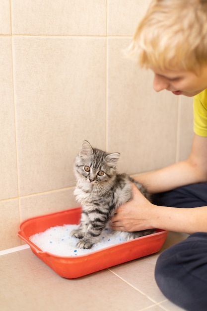 Een kitten naar het toilet trainen, de man laat de bak aan de kat zien