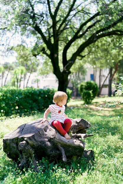 Een klein blootsvoets kind zit op een boomstronk in een groen park en draait zijn hoofd