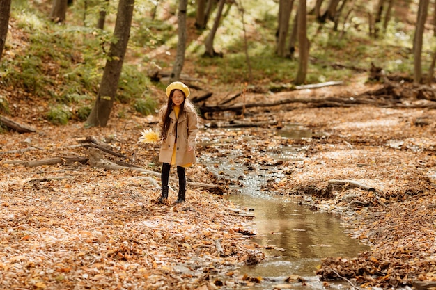 Een klein brunette Aziatisch meisje in herfstkleren loopt in het herfstbos bij een beekje