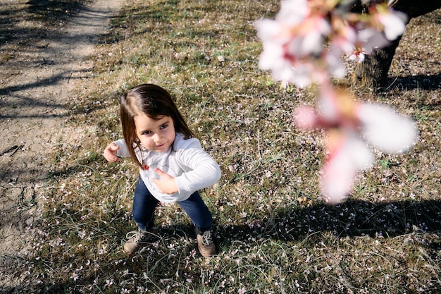 Foto een klein brunette meisje poseert en heeft plezier in een veld met amandelbloesems