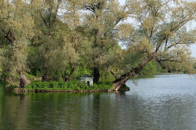 Een klein eiland op een wit meer met een huis voor zwanen op het grondgebied van het Gatchina Palace and Park Complex op een zonnige zomerdag Gatchina St Petersburg, Rusland