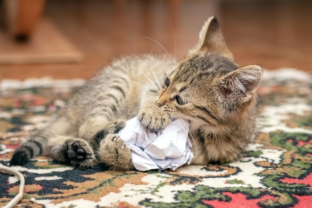 Een klein gestreept katje in de kamer speelt met verfrommeld papier