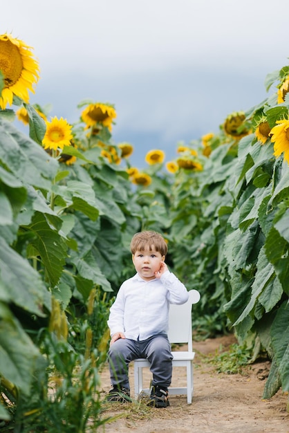 Een klein jongenskind zit in de zomer op een hoge stoel in een veld met zonnebloemen