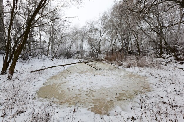 Een klein meer of moeras in het bos in de winter, het meer is bedekt met dik geel ijs van bevroren water, winternatuur en vorst