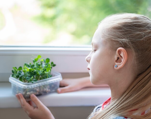 Een klein meisje bij het raam kijkt toe hoe microgroene erwten groeien