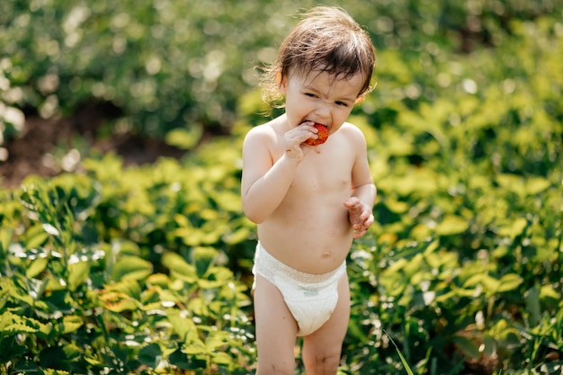 Een klein meisje dat maar één luier draagt, proeft zoete rijpe aardbeien in de dorpstuin