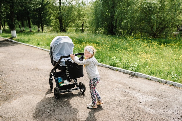 Een klein meisje gaat en draagt een kinderwagen met haar broertje of zusje in het park Wandelen in de zomer