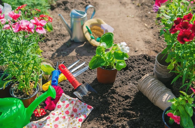 Een klein meisje plant bloemen De jonge tuinman Selectieve aandacht