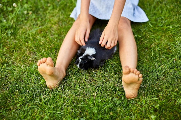 Een klein meisje speelt met zwarte cavia die in de zomer buiten zit