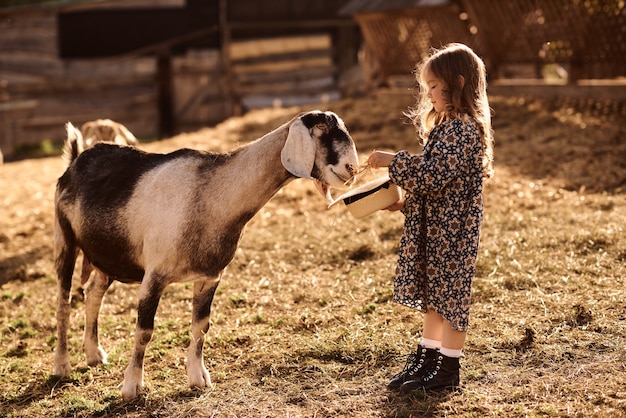 Een klein meisje vindt het leuk om op een boerderij met dieren te zijn.