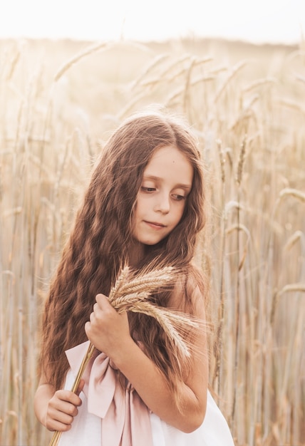 Foto een klein schattig meisje met lang haar houdt in de zomer aartjes van tarwe in het veld. zomer. oogstconcept