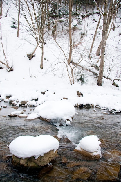 een kleine actieve waterval schone bergstroom besneeuwde winterlandschap wildlife achtergrond