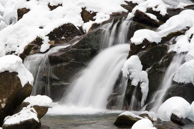 een kleine actieve waterval schone bergstroom besneeuwde winterlandschap wildlife achtergrond
