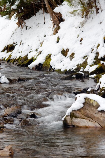 een kleine actieve waterval schone bergstroom besneeuwde winterlandschap wildlife achtergrond