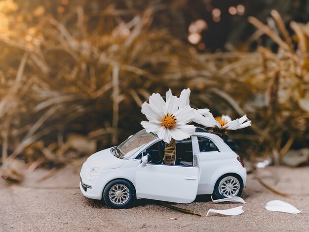 Een kleine blauwe kinderauto staat op een herfstgele achtergrond en er staan prachtige witte madeliefjes op. Herfst concept.