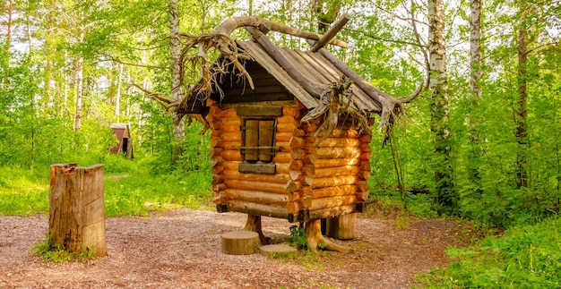 Een kleine blokhut in het bos in de zomer.