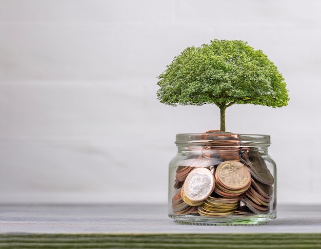 een kleine boom die op munten in een glazen pot groeit