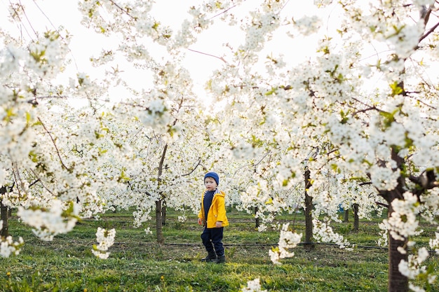 Een kleine driejarige vrolijke jongen rent op het gras in een bloeiende tuin in de lente Kinderen emoticon van vreugde gelukkig lachend kind