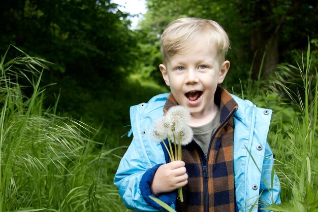 Een kleine fairhaired jongen houdt witte pluizige paardenbloemen in zijn handen en glimlacht