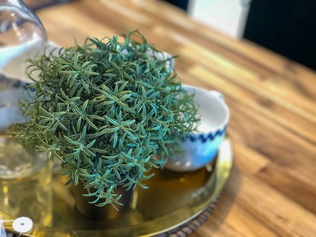 Foto een kleine groene plant met houten bloempot op houten tafel achtergrond. de kleine decoratie van plantpotten op houten tafel in coffeeshop.