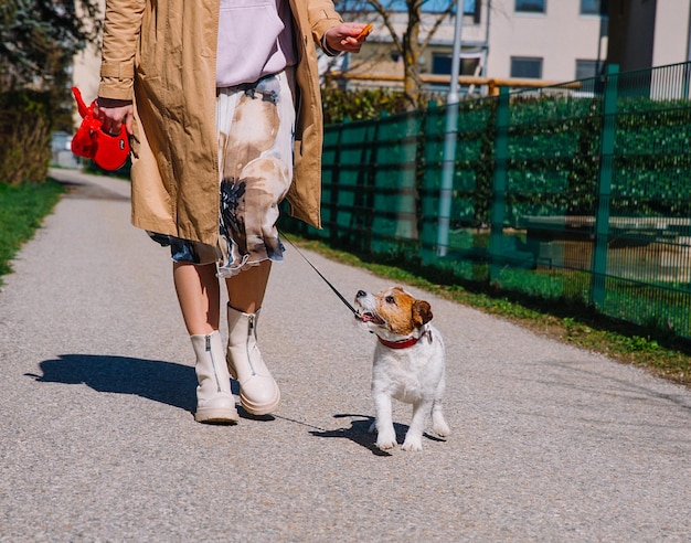 Een kleine Jack Russell Terrier-hond die met zijn baasje in een steegje in de stad loopt Outdoor huisdieren gezond leven en levensstijl