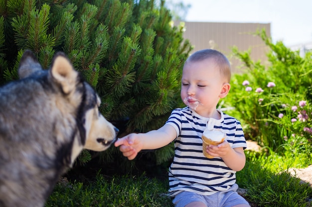 Een kleine jongen zit in de tuin en eet ijs met de hond