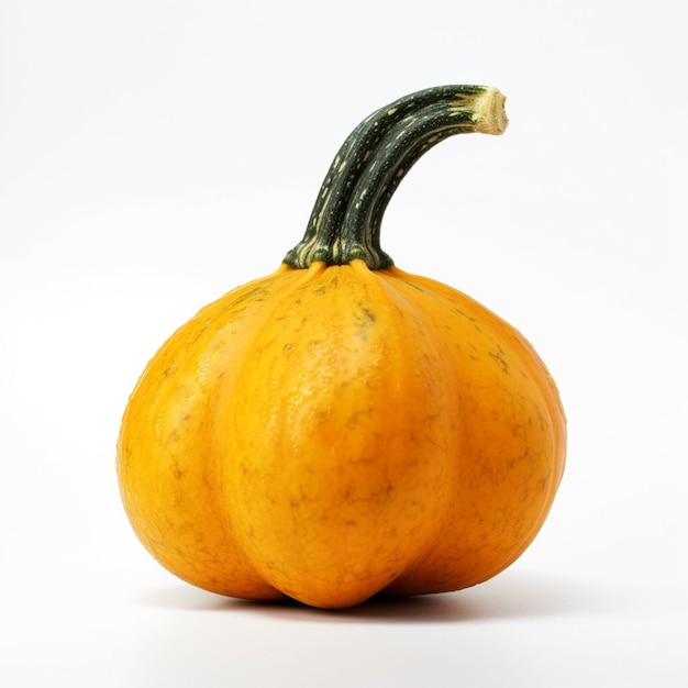 Een kleine oranje pompoen met het woord "pompoen" bovenaan.