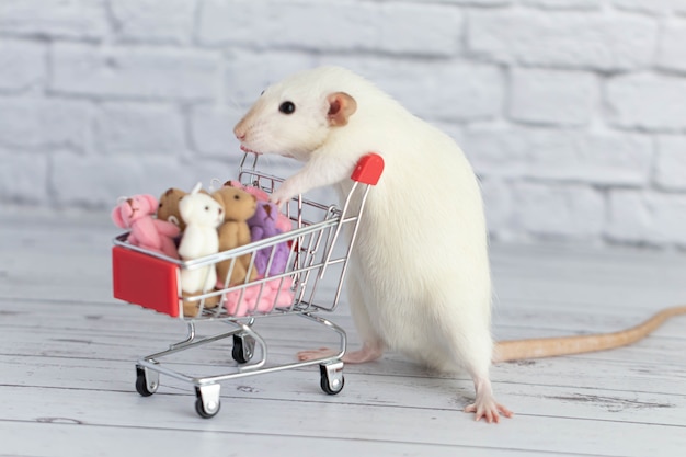 Een kleine schattige witte rat naast de boodschappenwagen zit vol met veelkleurige teddyberen. Winkelen op de markt. Cadeaus kopen voor verjaardagen en feestdagen.