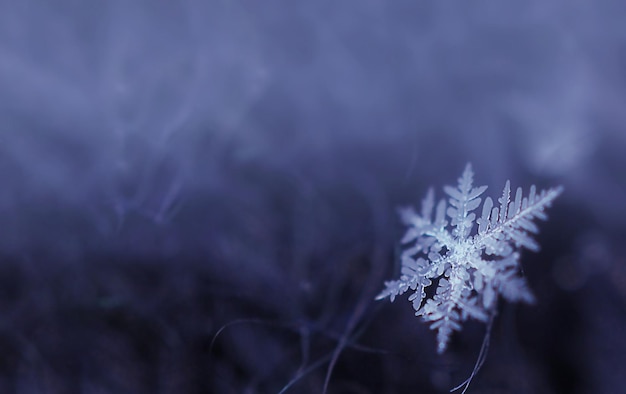 Een kleine sneeuwvlok op een wollen macrofotografie-sjaal, een brede horizontale banner met vrije tekstruimte en een zachte selectieve focus bij lage scherptediepte