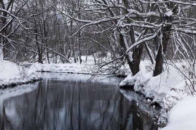 Een kleine stille rivier stroomt door een winterbos dat volledig bedekt is met sneeuw Rusland