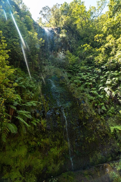 Een kleine waterval in de zomer bij de Levada do Caldeirao Verde Queimadas Madeira