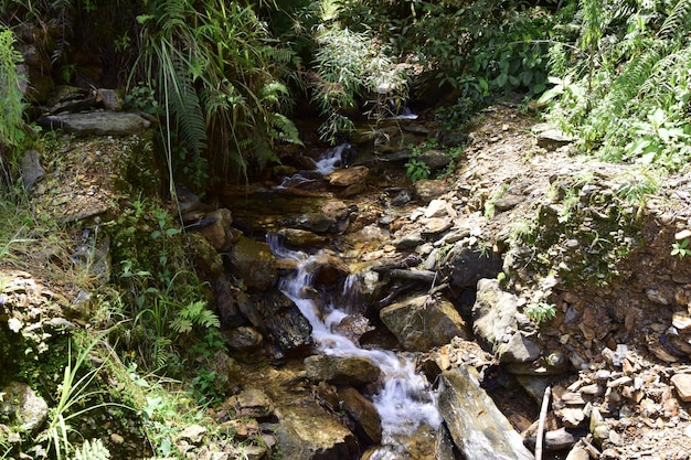 Een kleine waterval op de Death road Camino de la Muerte Yungas North Road tussen La Paz en Coroico Bolivia