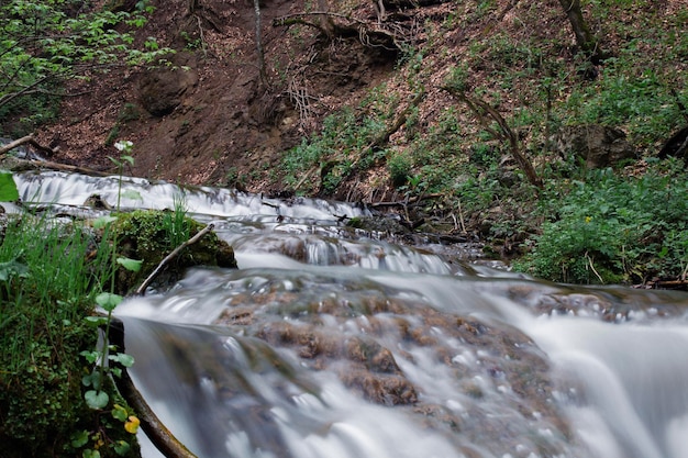 Een kleine waterval stroomt door het bos