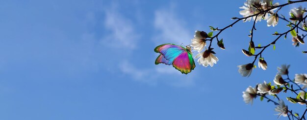 Foto een kleurrijke vlieger vliegt in de lucht met een bloem op de voorgrond.