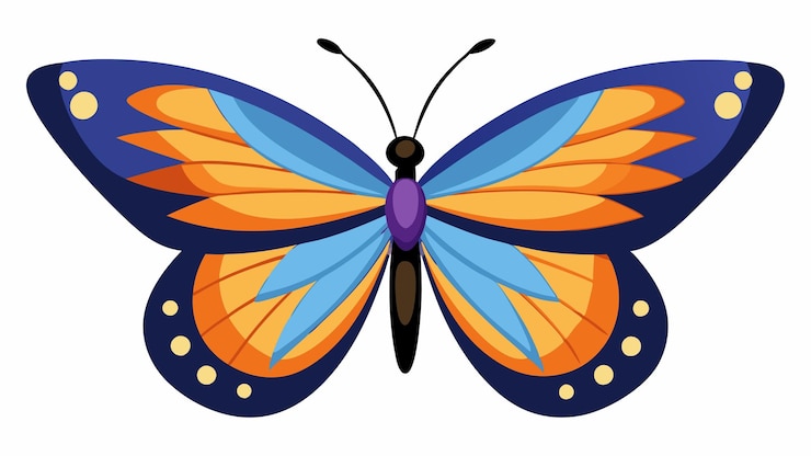 Foto een kleurrijke vlinder met blauwe vleugels en oranje vleugels