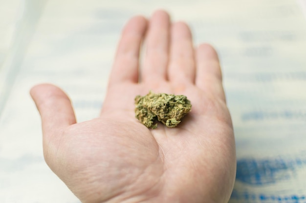 Een knop van marihuana op de hand van een man