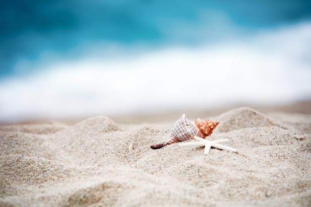 Een koel zomerzeestrandlandschap met kustzandschelp en blauwe golven op een boek