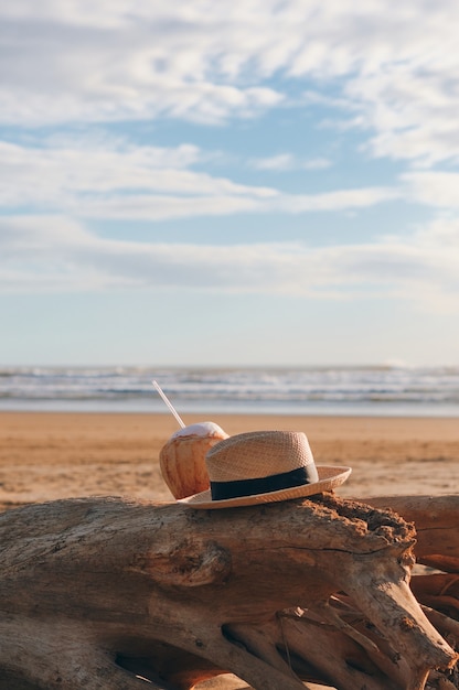 Een kokosnoot en een hoed op een boomstam op het strand.