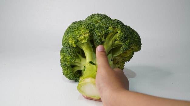 een kop verse broccoli op een witte achtergrond