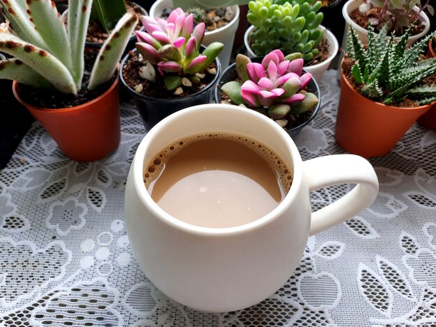 Een kop warme koffie op de achtergrond van cactussen en vetplanten