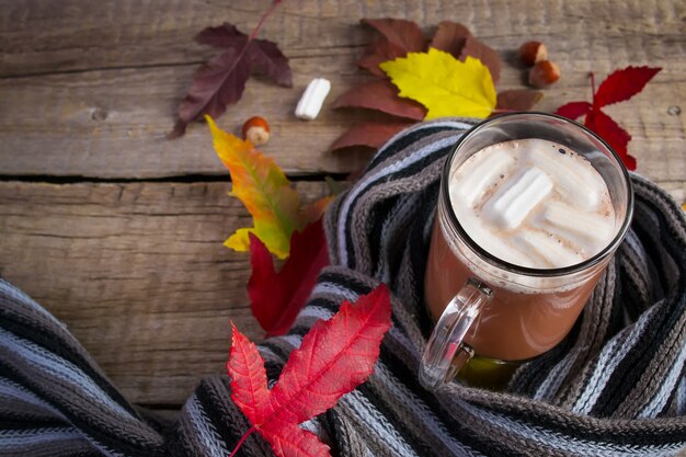 Een kopje cacao met marshmallows, zachte sjaal en herfst gewikkeld