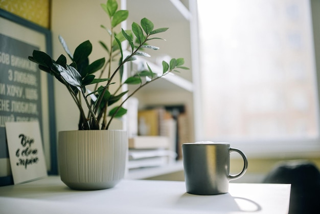 Een kopje koffie staat op een tafel bij een bloempot met een plant op de ochtendraamachtergrond