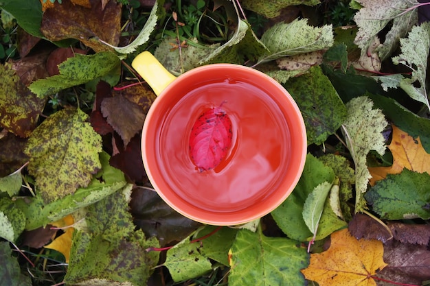 Een kopje zwarte thee op een kleurrijke herfstbladeren achtergrond